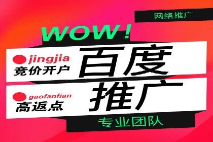 案例解读：SEM推广托管助力品牌崛起